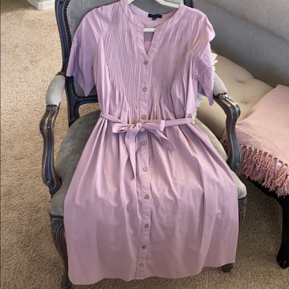 Adorable mauve Roolee shirtdress Small